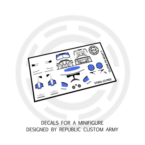 CT501-13.PNG